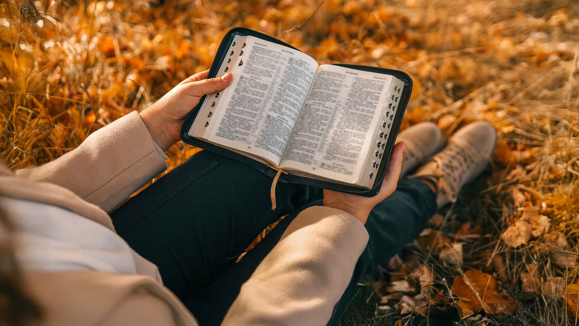 Read Through the Bible